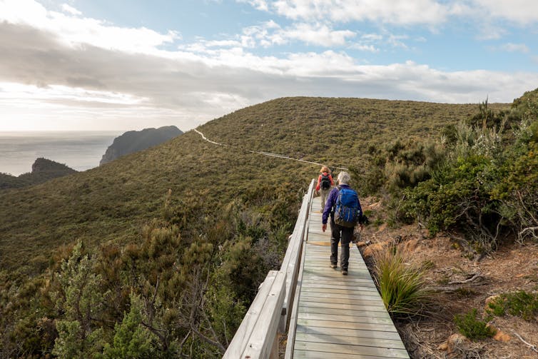 Hikers walking along a wooden path on the trail to Cape Pillar, Tasmania, Australia.
