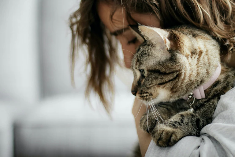 Person holding cat tucked against chest and chin