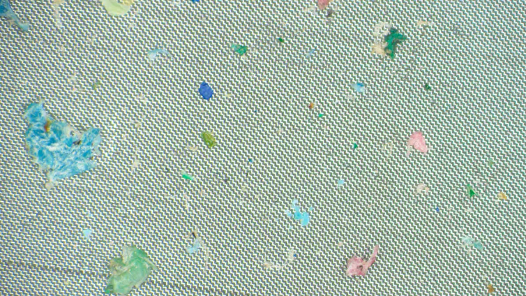 close-up image of microplastics