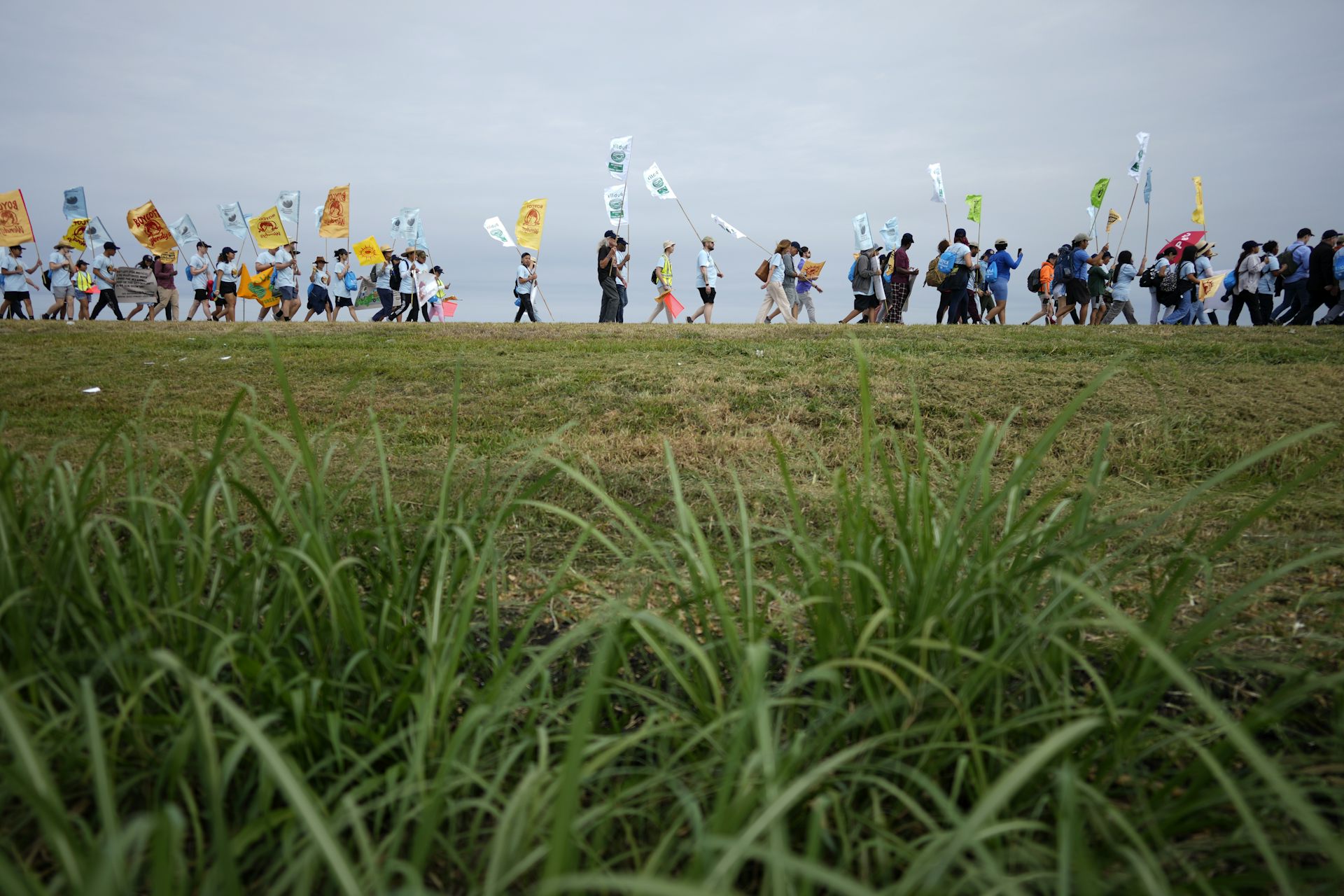 El orden de las personas que caminan cerca del campo que llevan banderas