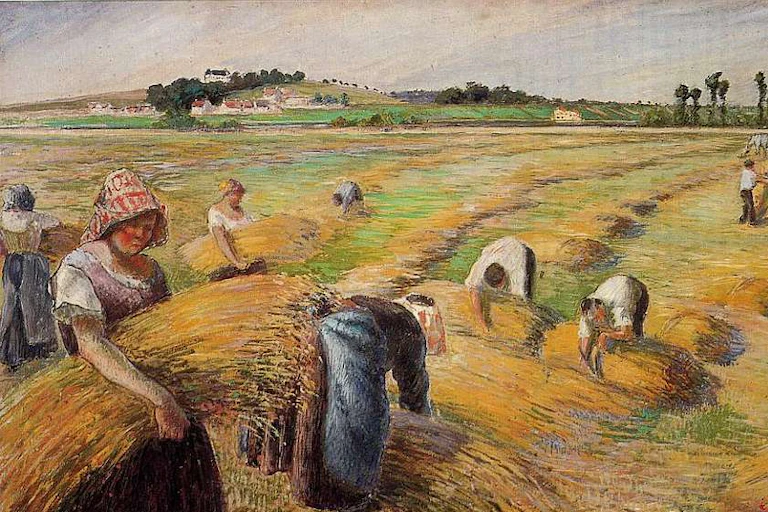 Des paysans récoltent du blé