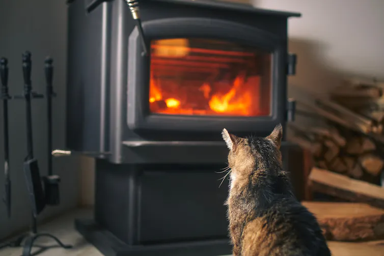 A cat in front of a wood stove.