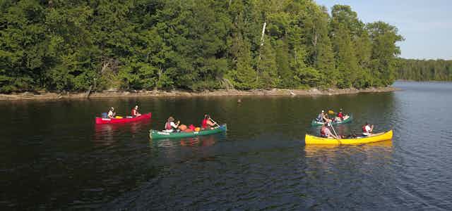 People seen in canoes on the water.