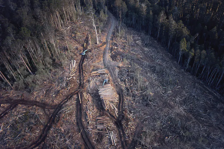 logging operations from the air