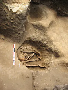 A clearly ancient human skeleton in a grave alongside a scale bar