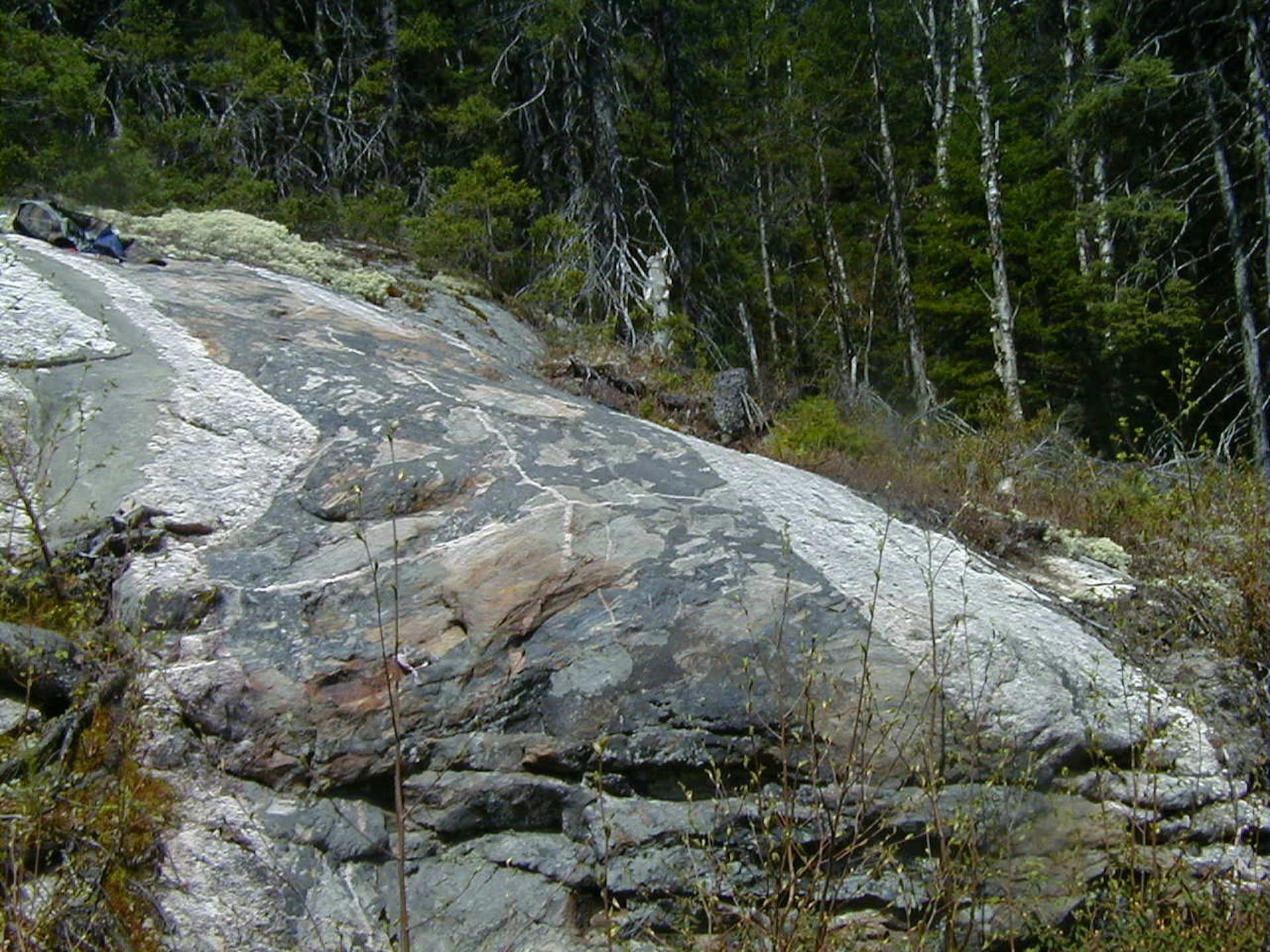 Des roches et des arbres