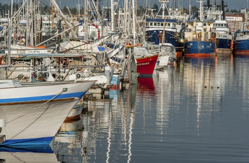 Coastal economies rely on NOAA, from Maine to Florida, Texas and Alaska – even if they don’t realize it