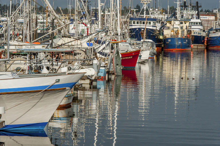 Fishing boats at the Fishermens Terminal, the Homeport to the North Pacific Fishing Fleet, in Seattle in 2022.