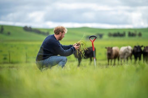 Farming cooperatives can get a bad environmental rap, but they can also be a force for good
