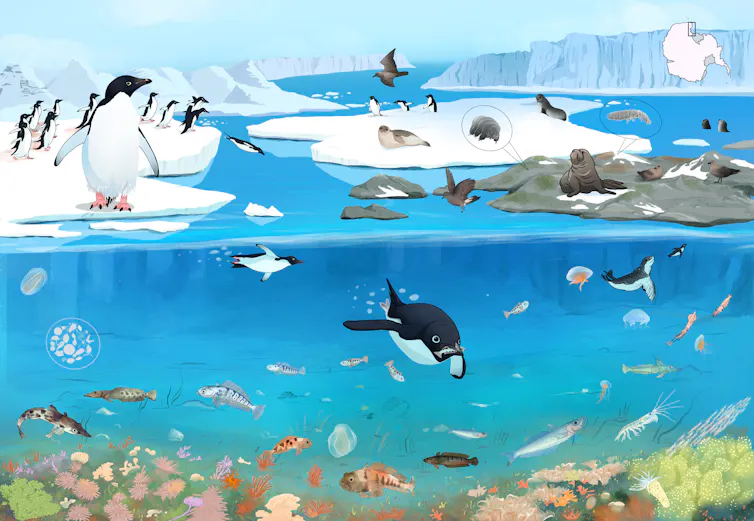 Artist's reconstruction of the ancient Ross Sea ecosystem