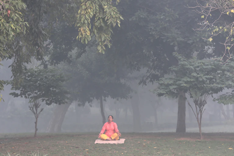 Lady performs yoga under a tree