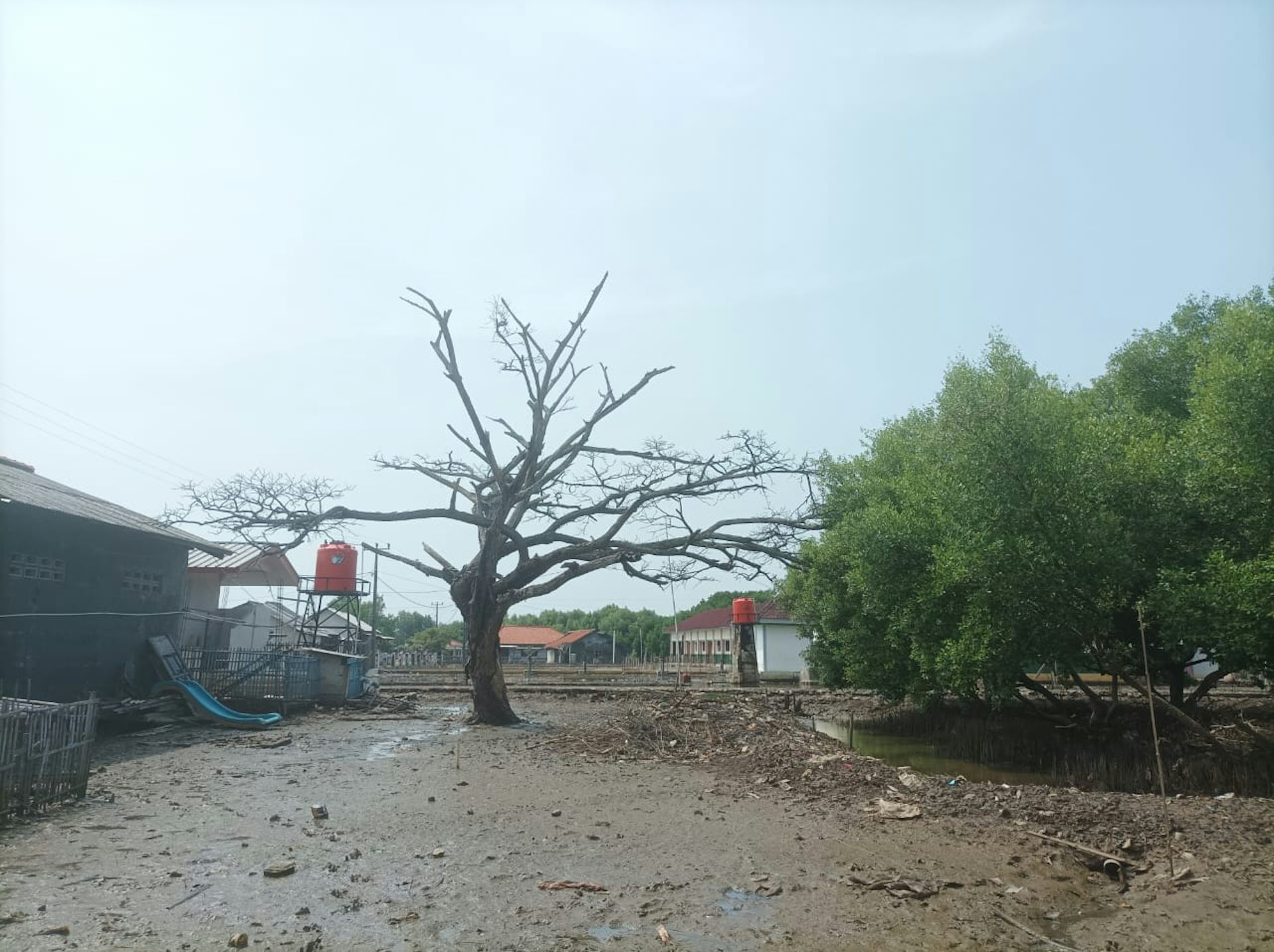 Permukiman warga di salah satu desa di Muara Gembong