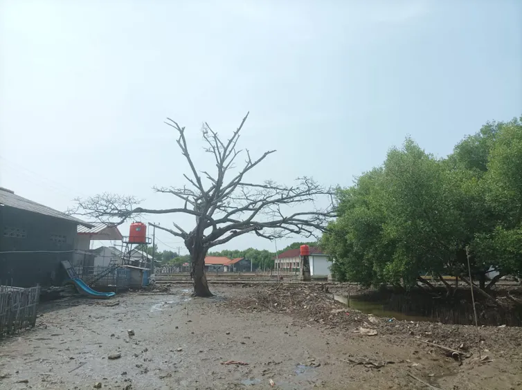 Permukiman warga di salah satu desa di Muara Gembong