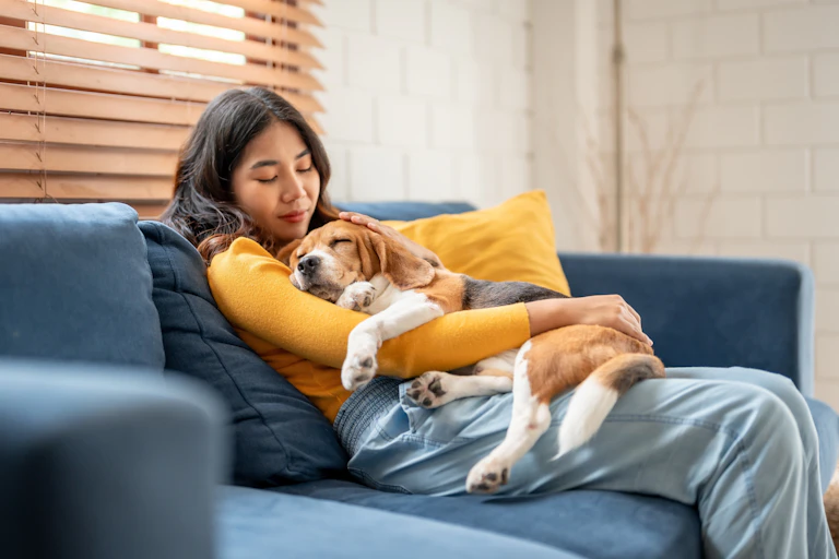 A woman in a yellow sweater on a blue sofa holding a sleeping dog in her lap