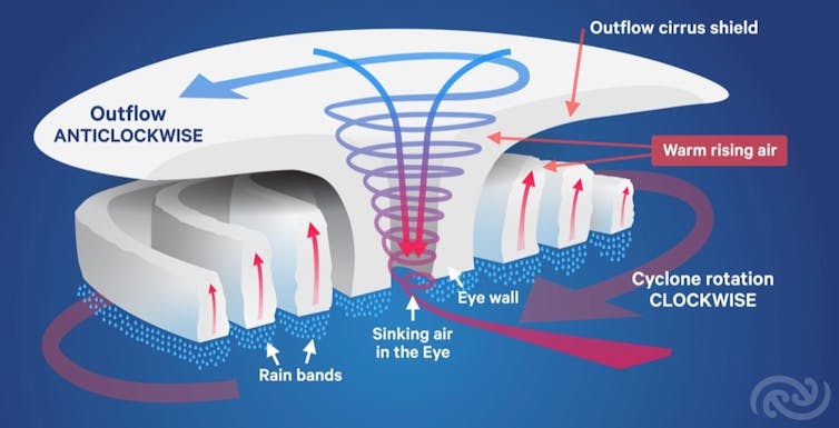 figure showing cyclone genesis
