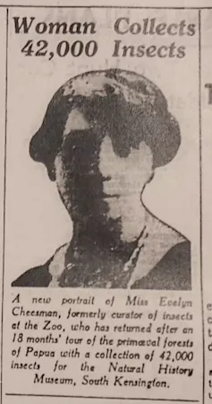 woman collects 42,000 insects - old newspaper clipping
