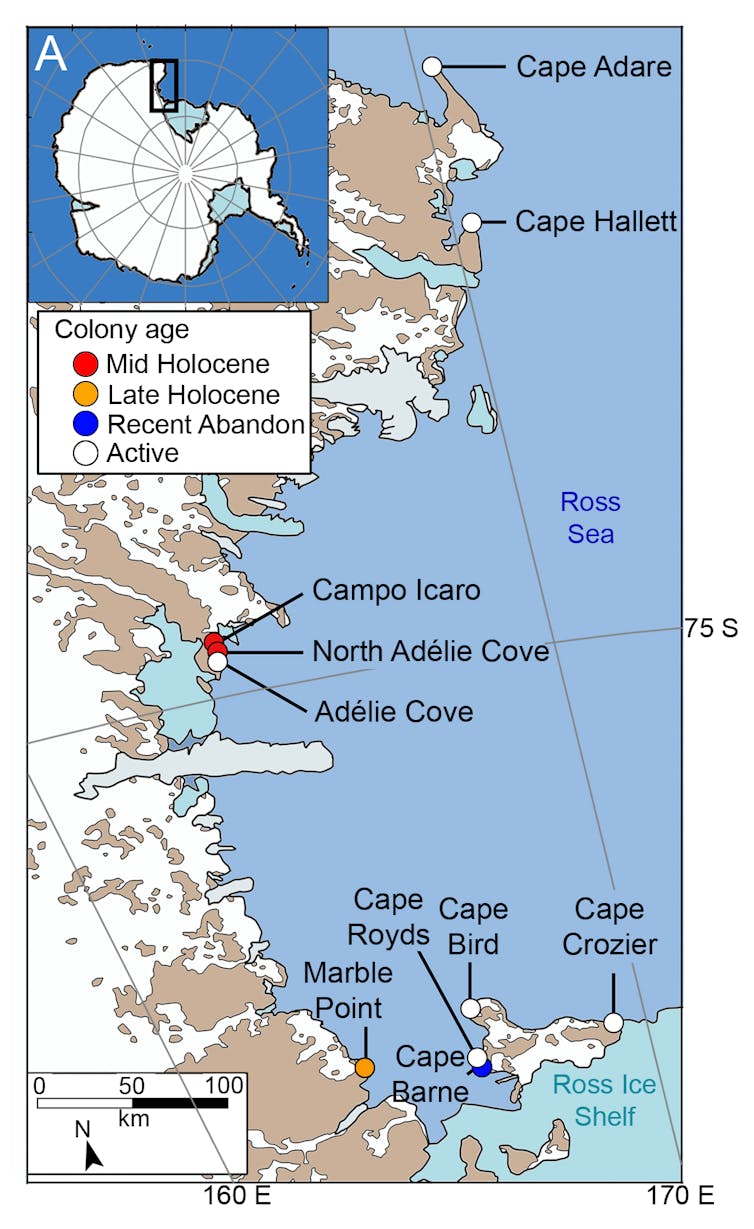 Locator map showing the ten penguin colonies on the coast and the colony age.