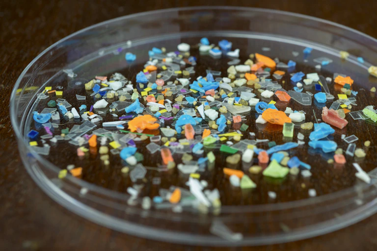 A petri dish full of tiny shards of colorful plastics