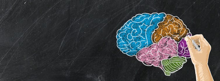 Chalk drawing in blue, pink, red and green of a human brain on a blackboard
