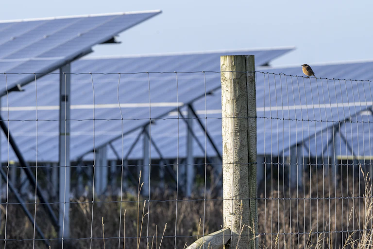 A small bird sitting on a wire fence surrounding a field full of rows of solar panels.