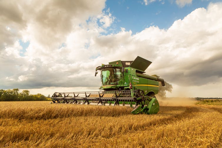 A green combine harvester in a wheat field.
