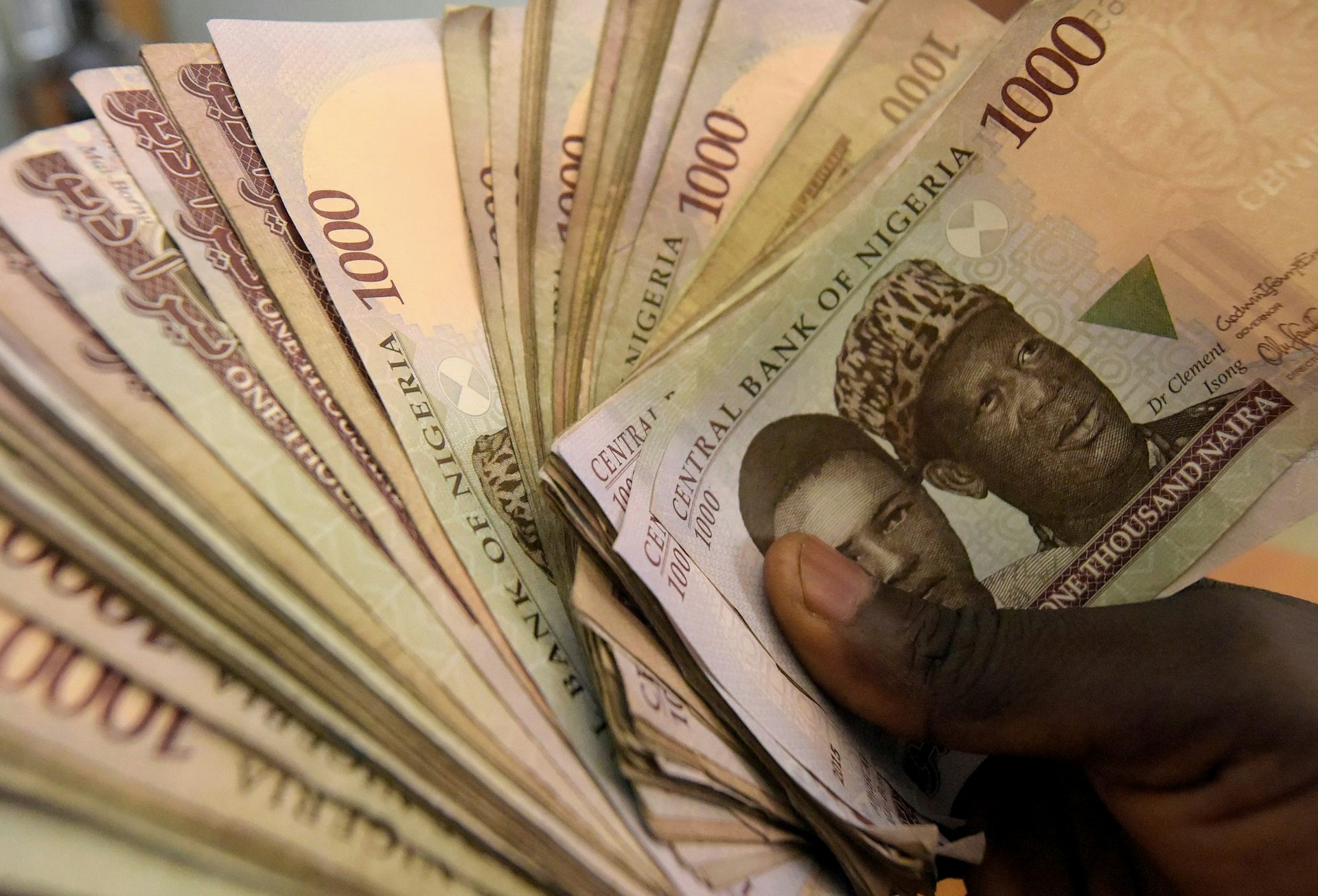 A hand holding fanned-out banknotes in Nigerian currency