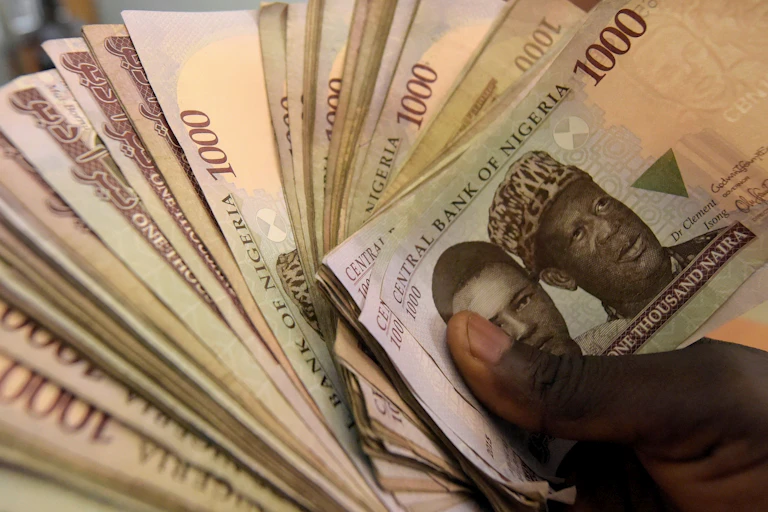 A hand holding fanned-out banknotes in Nigerian currency