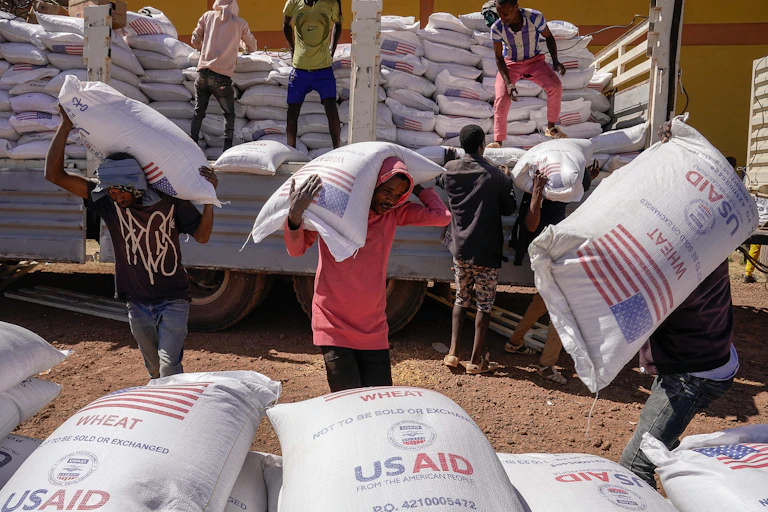 A group of people on a truck and nearby carry large white bags that say 'Wheat' and 'USAID' on them.