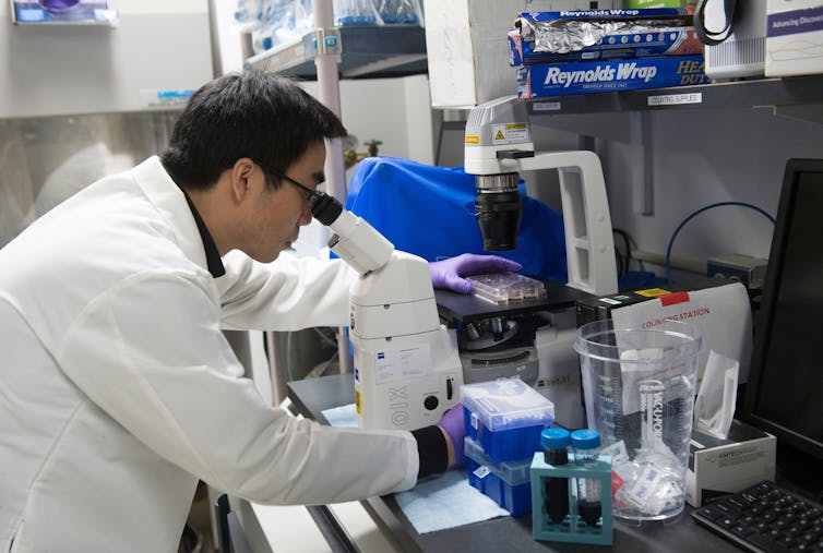 A researcher in a white lab coat peers through a microscope.