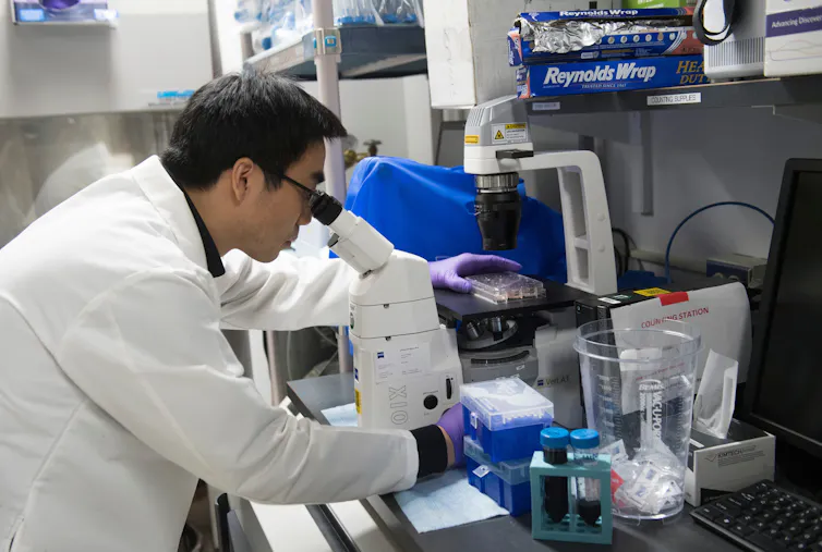 A researcher in a white lab coat peers through a microscope.