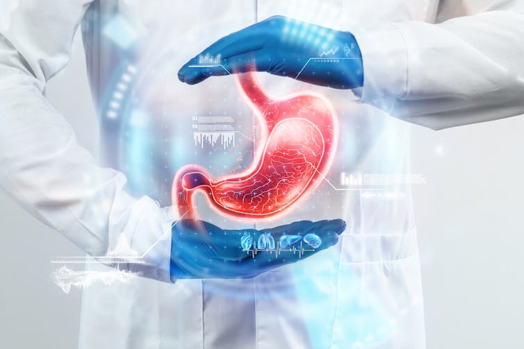 A person in a white coat out of frame wearing blue gloves framing a hologram of a stomach