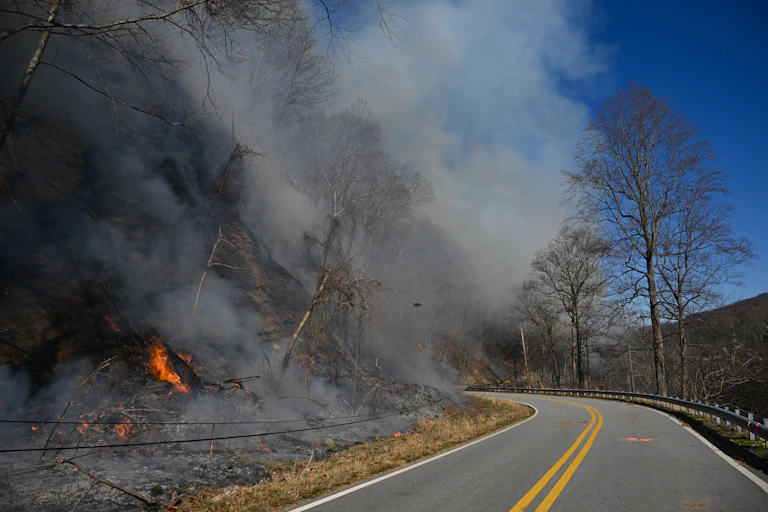 Fire burns a hillside next to a road.