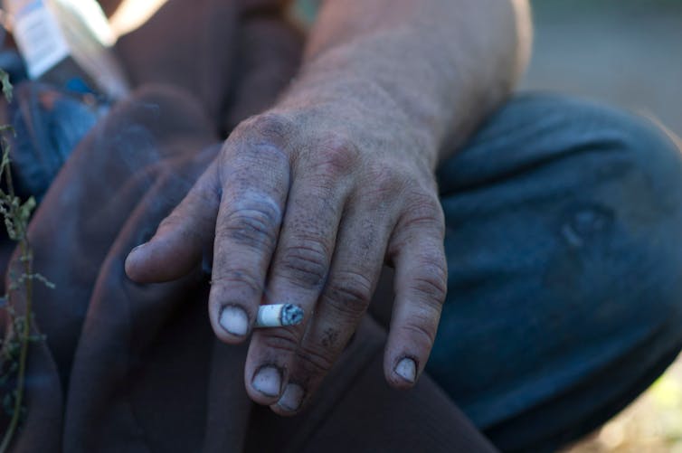 The shortcut to much less warming? It runs via a farm box 2 file 20250305 62 kdv85c.jpg?ixlib=rb 4.1