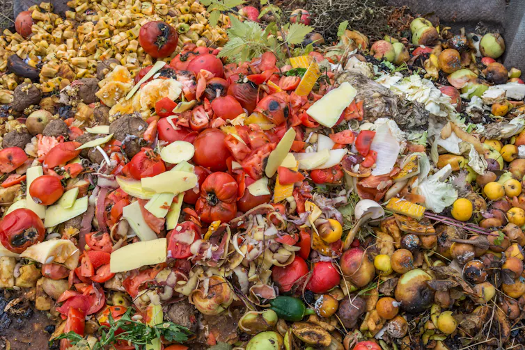 Rotting food in landfill.
