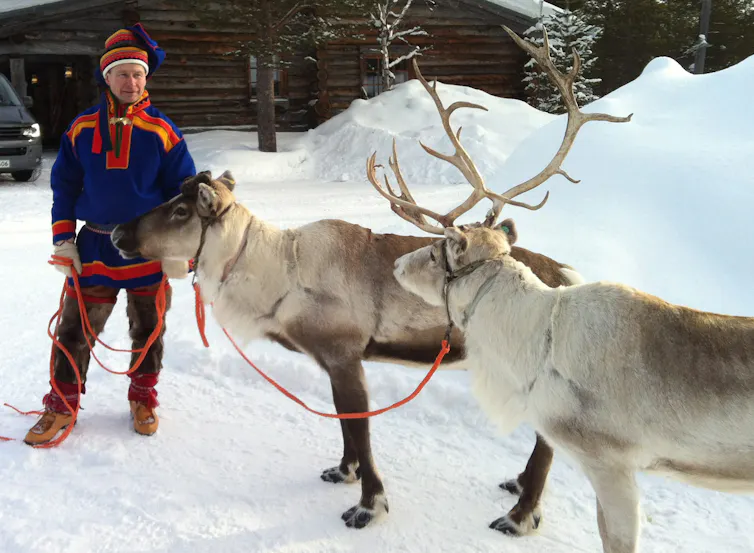 A man wearing the traditional clothing of the Sami Indigenous people stands next to two reindeer.