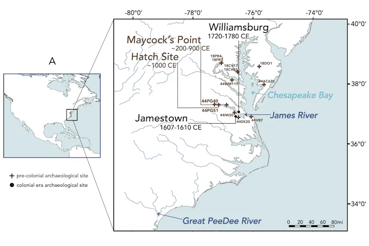 map highlighting Maycock's Point, Hatch Site, Jamestown and Williamsburg on the James River