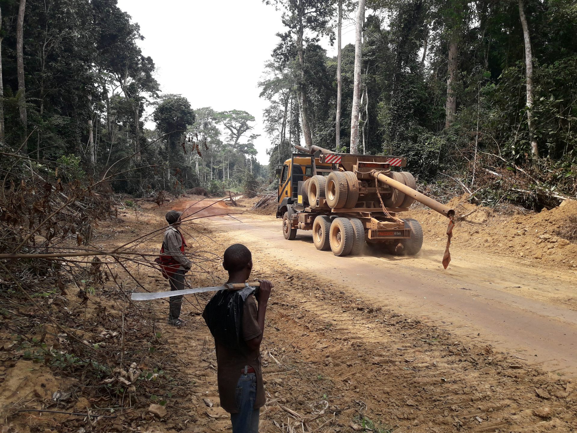 Two men stare at a giant logging truck on a dirt road between large trees