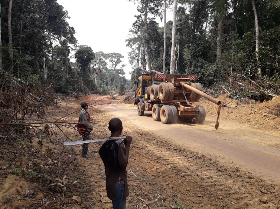 Two men stare at a giant logging truck on a dirt road between large trees