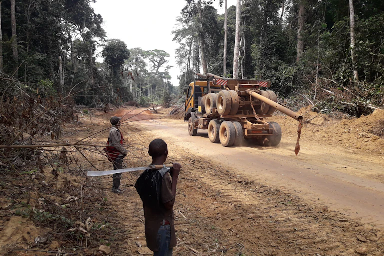 Two men stare at a giant logging truck on a dirt road between large trees