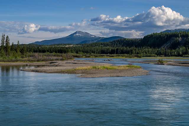 A wide blue river with mountains and pine trees surrounding it.