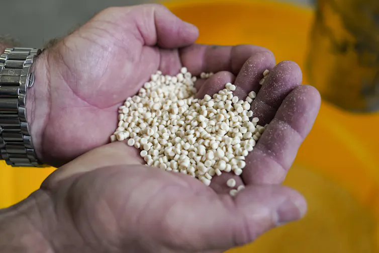 A person cups small, white bioplastic pellets in the palms of their hands.