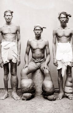 A photo of 1890 out of three men with elephants.