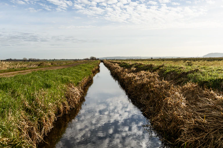 farmland with straight ditch running through land