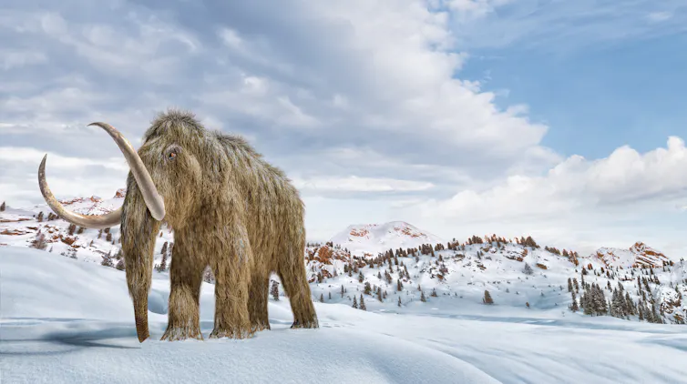 Woolly mammoth