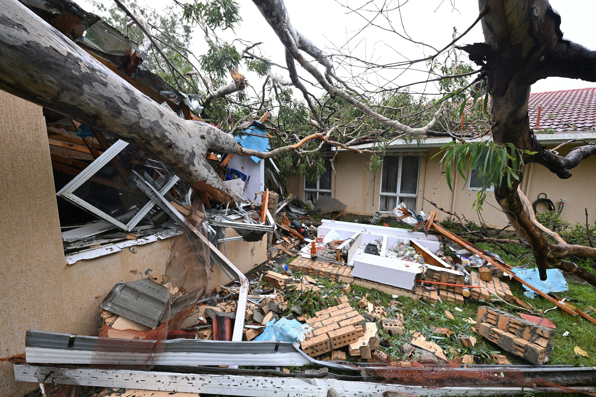 fallen tree on house