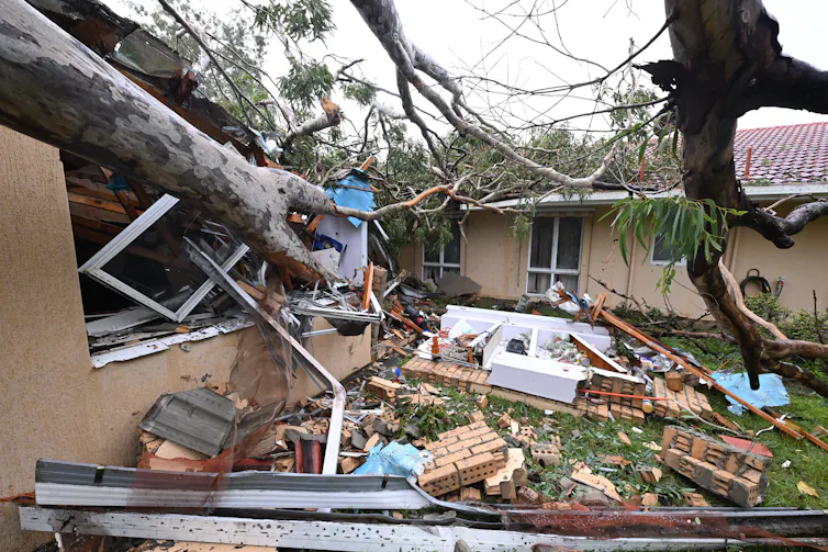 fallen tree on house