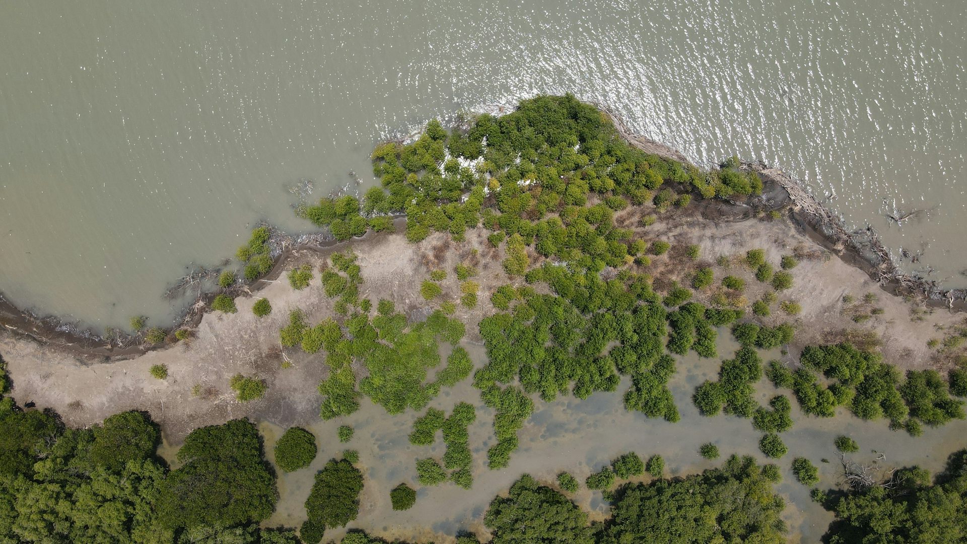 Kisah perempuan Muara Gembong bertahan di tengah abrasi