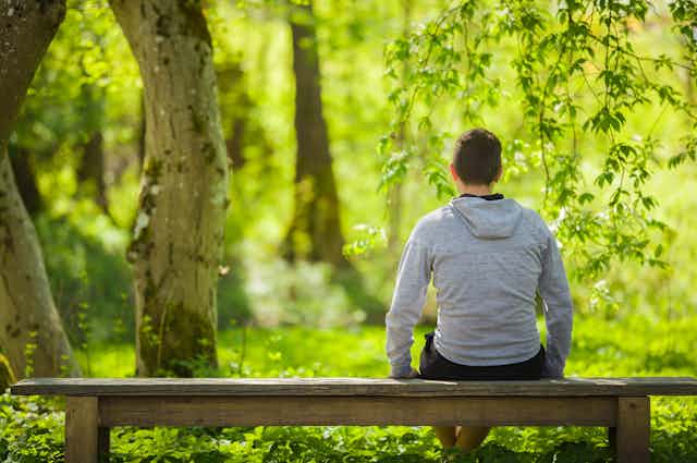 With his back to the camera, a young man sits on a wooden bench looking at trees and greenery.