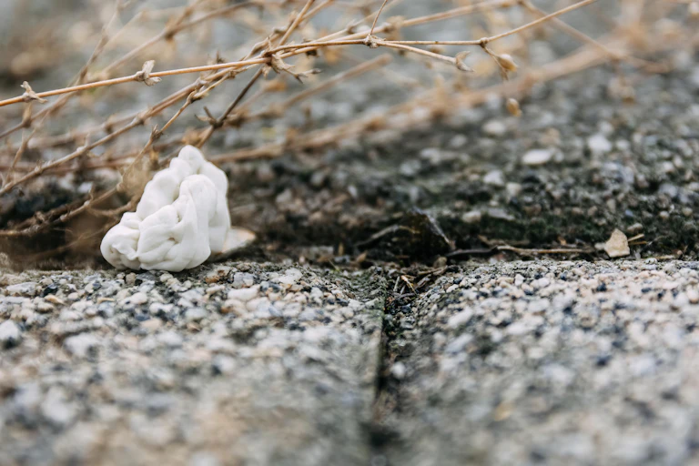 gum on paving near plant