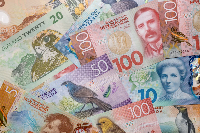 New Zealand currency